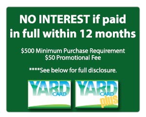 No Interest if paid in 12 months